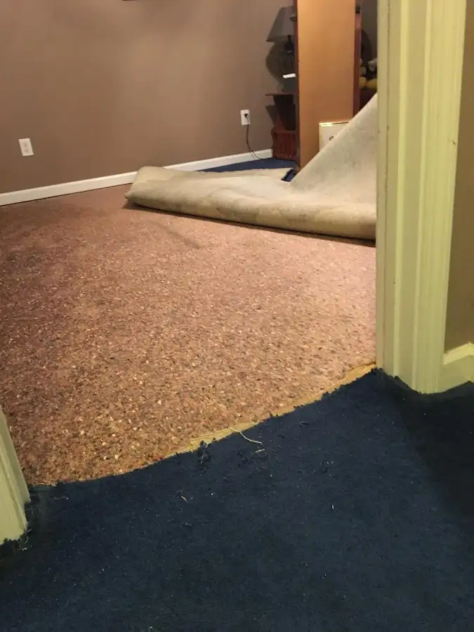 Carpet pad removal revealing water damage during Water Mitigation Services in Geneva
