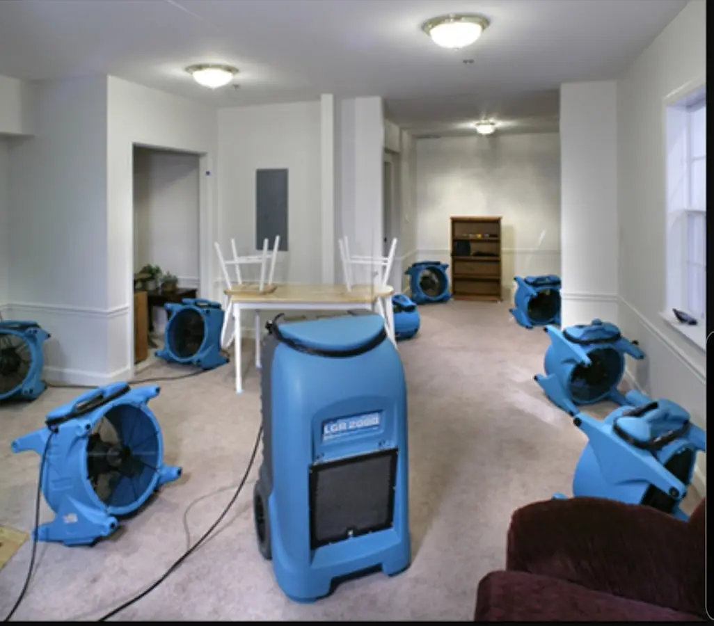 Air movers and dehumidifier setup for Water Extraction & Removal in Geneva